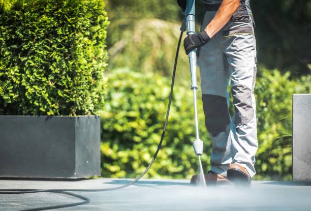 Best Sidewalk and Walkway Cleaning  in Garden City Park, NY