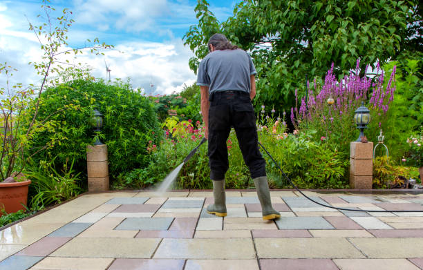 Best Rust Removal  in Garden City Park, NY